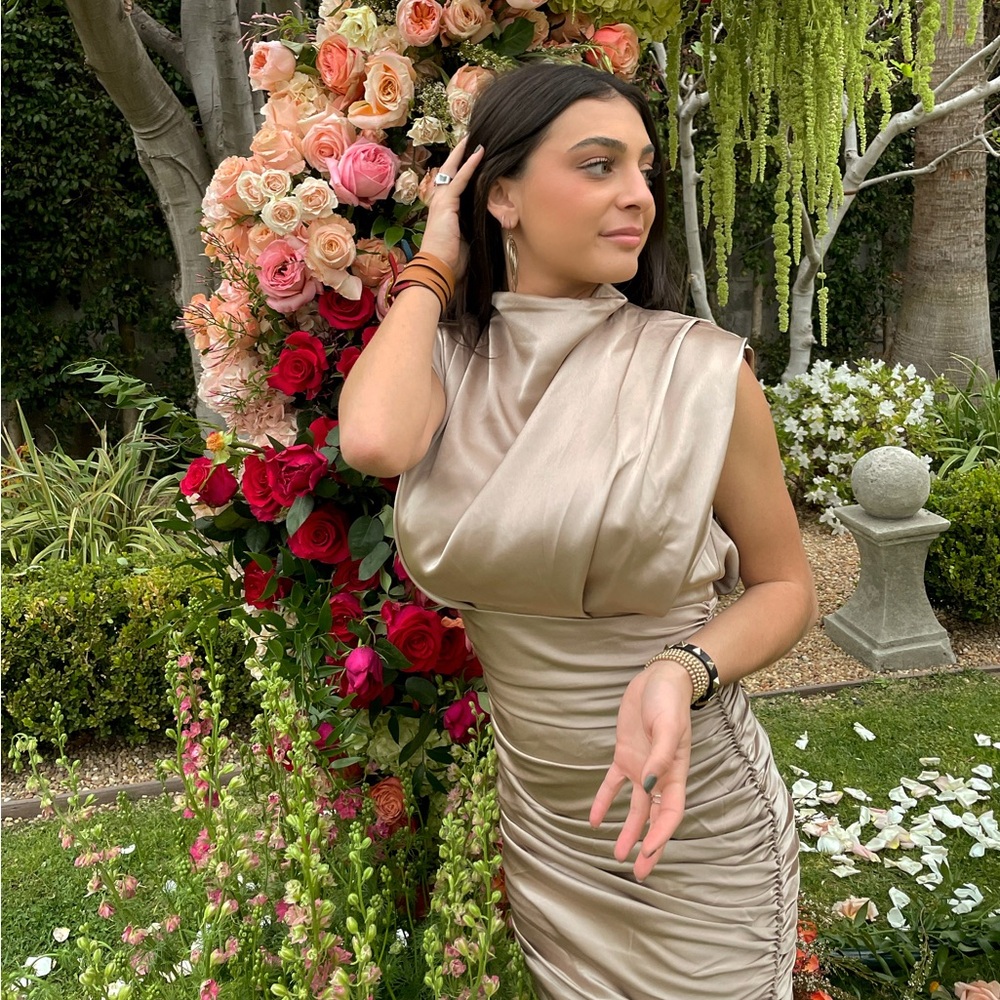 Babaton Champagne Silk Dress